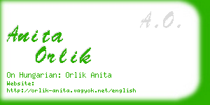 anita orlik business card